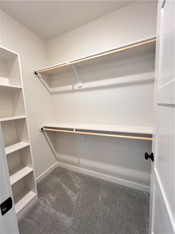 16311 Mustang St, Gardner, KS 66030 - spacious closet with carpet floors