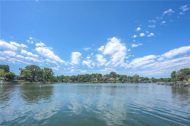 135 Dockside Cir, Lake Tapawingo, MO 64015 - photo 48