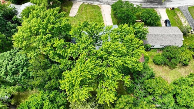 10217 Wheeling Ave, Kansas City, MO 64134 - drone / aerial view