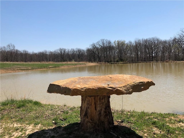 2105 NE 315 Pvt Rd, Osceola, MO 64776 - photo 23
