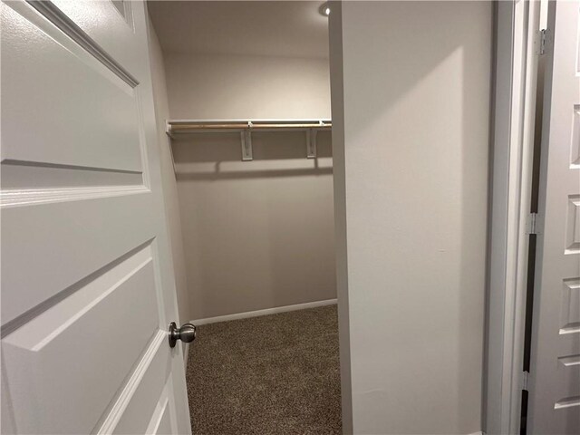37818 W 207th Ter, Edgerton, KS 66021 - walk in closet featuring carpet flooring