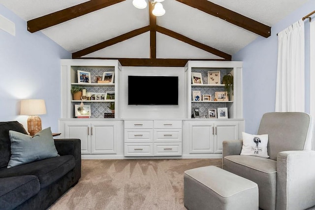 33991 Mission Belleview Rd, Louisburg, KS 66053 - living room with light carpet