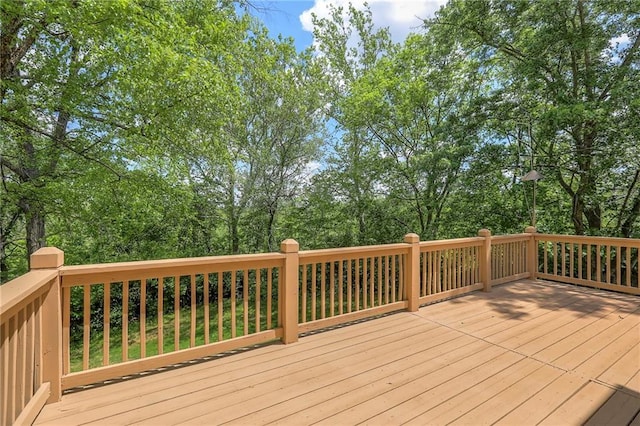 5321 67th Ct, Kansas City, MO 64119 - photo 32