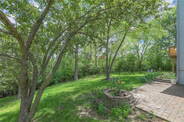 5321 67th Ct, Kansas City, MO 64119 - photo 36