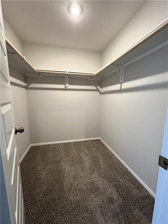 37779 W 207th Ter, Edgerton, KS 66021 - spacious closet featuring carpet floors