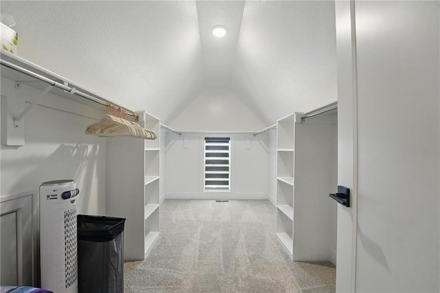 17137 Barton St, Overland Park, KS 66221 - spacious closet featuring carpet floors and vaulted ceiling