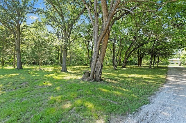 38 NW 525th Rd, Warrensburg, MO 64093 - view of green lawn
