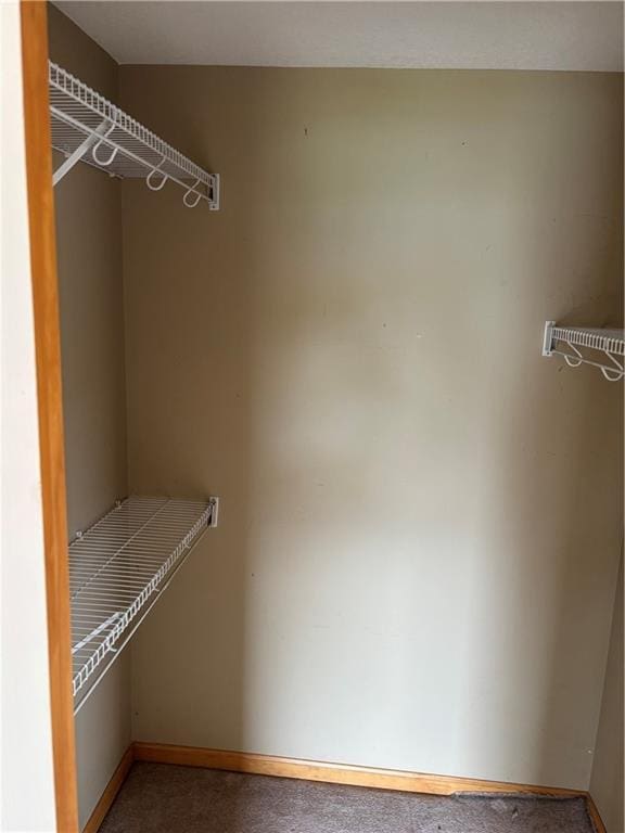 952 NW Maplewood Ct, Grain Valley, MO 64029 - spacious closet with carpet