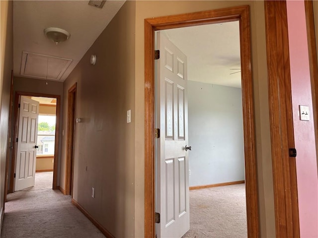 952 NW Maplewood Ct, Grain Valley, MO 64029 - hall with attic access, light colored carpet, and baseboards