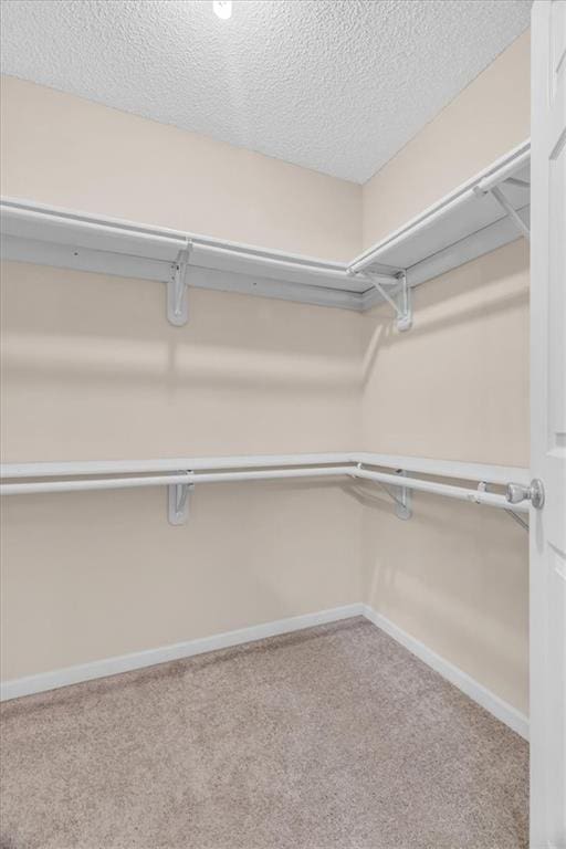 4506 NW Apache Dr, Riverside, MO 64150 - walk in closet featuring carpet floors