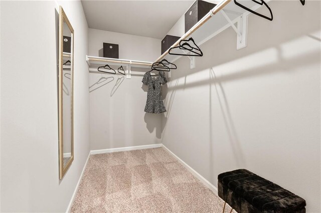 37838 W 208th Ter, Edgerton, KS 66021 - spacious closet featuring carpet flooring