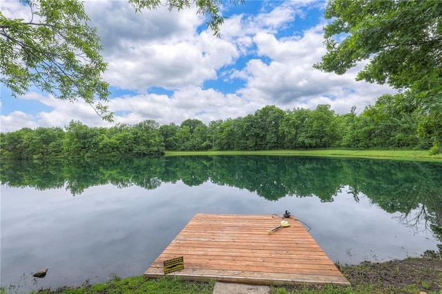 25801 E 317th Ter, Harrisonville, MO 64701 - dock with a water view and a wooded view