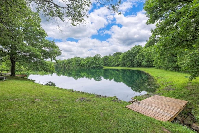 25801 E 317th Ter, Harrisonville, MO 64701 - water view featuring a forest