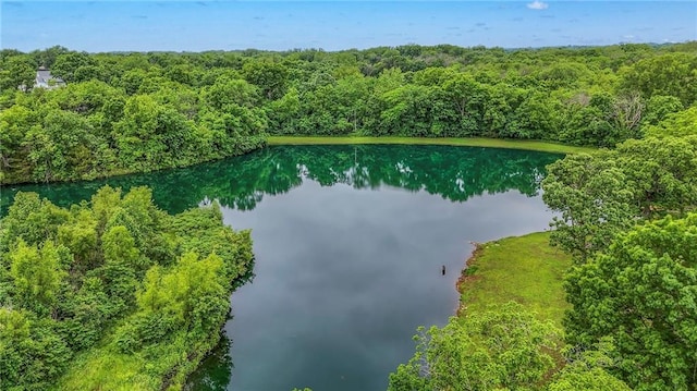 25801 E 317th Ter, Harrisonville, MO 64701 - bird's eye view of a heavily wooded area and a large body of water
