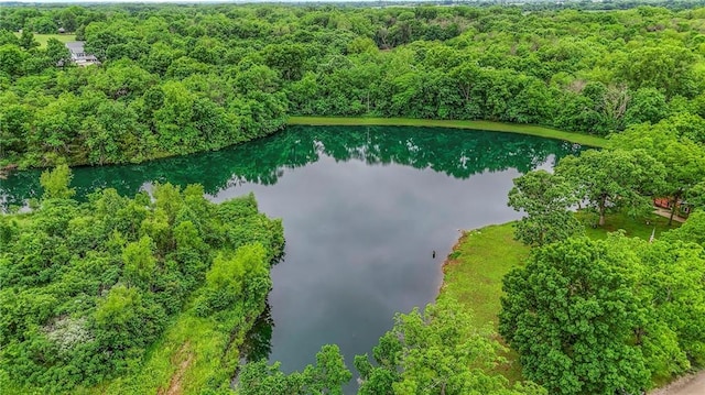25801 E 317th Ter, Harrisonville, MO 64701 - bird's eye view of a large body of water and a heavily wooded area