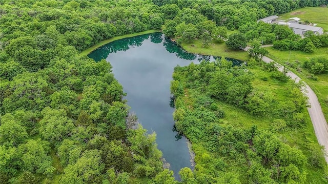 25801 E 317th Ter, Harrisonville, MO 64701 - aerial view of property's location featuring a large body of water and a forest