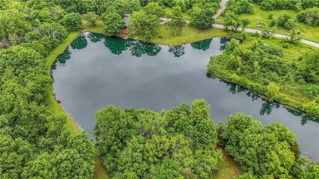 25801 E 317th Ter, Harrisonville, MO 64701 - aerial view of a large body of water