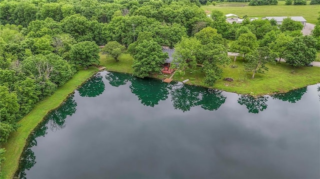 25801 E 317th Ter, Harrisonville, MO 64701 - bird's eye view of a large body of water