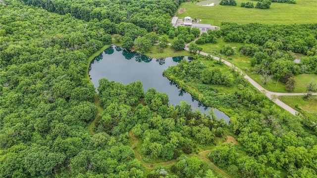25801 E 317th Ter, Harrisonville, MO 64701 - aerial view of property's location featuring a nearby body of water