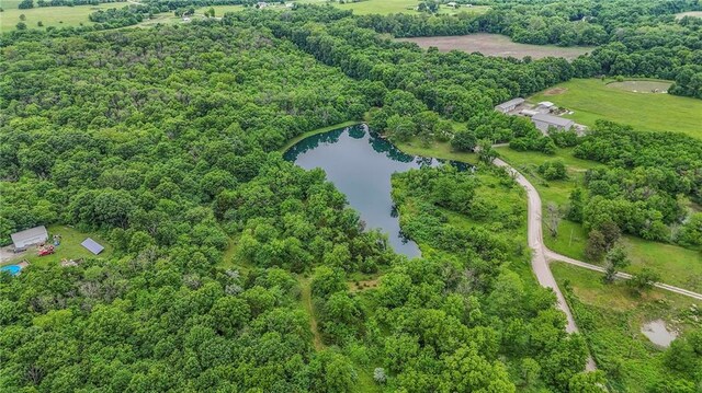 25801 E 317th Ter, Harrisonville, MO 64701 - aerial view of property's location featuring a nearby body of water and a forest