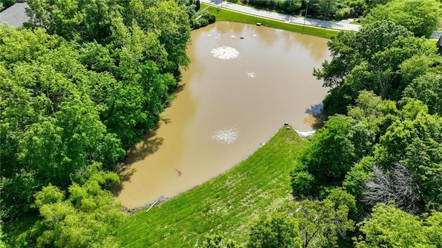 10223 River Hills Ct, Parkville, MO 64152 - photo 3