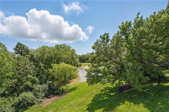 10223 River Hills Ct, Parkville, MO 64152 - photo 52