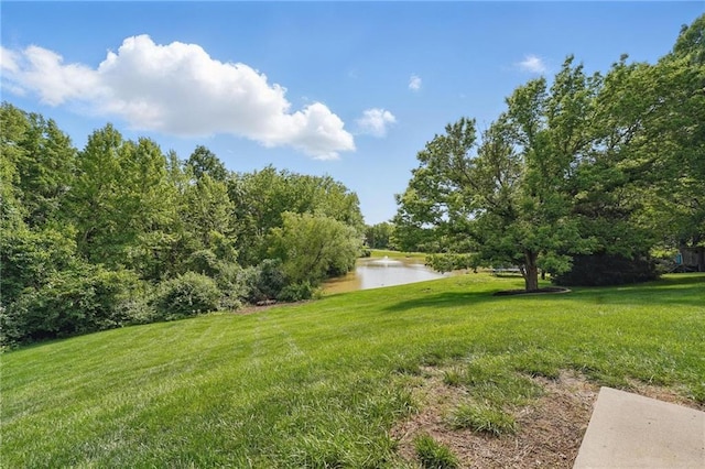 10223 River Hills Ct, Parkville, MO 64152 - photo 55