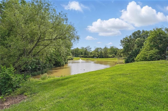 10223 River Hills Ct, Parkville, MO 64152 - photo 56