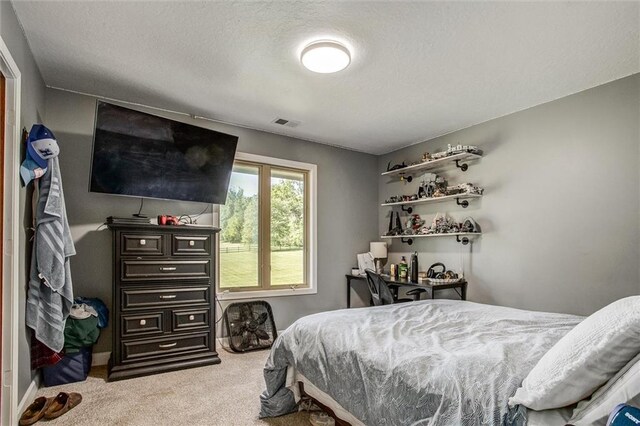 24208 E Orient Cemetery Rd, Harrisonville, MO 64701 - bedroom featuring carpet floors and a textured ceiling