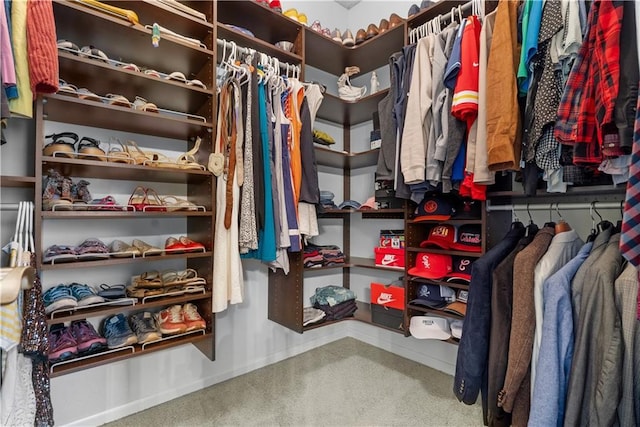 2705 W 137th Pl, Leawood, KS 66224 - spacious closet with carpet