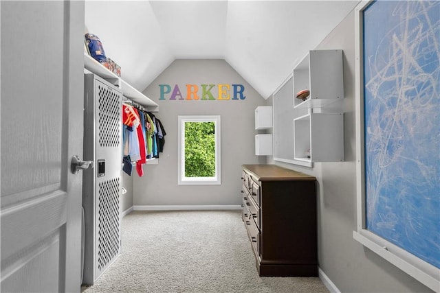 2705 W 137th Pl, Leawood, KS 66224 - spacious closet featuring vaulted ceiling and light carpet