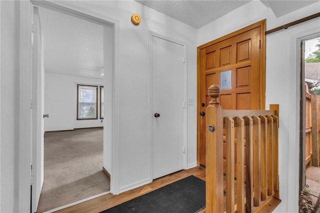 1528 E 123rd St, Olathe, KS 66061 - entrance foyer with a textured ceiling, plenty of natural light, wood finished floors, and baseboards
