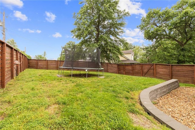 131 Cedar Ct, Warrensburg, MO 64093 - view of yard with a trampoline