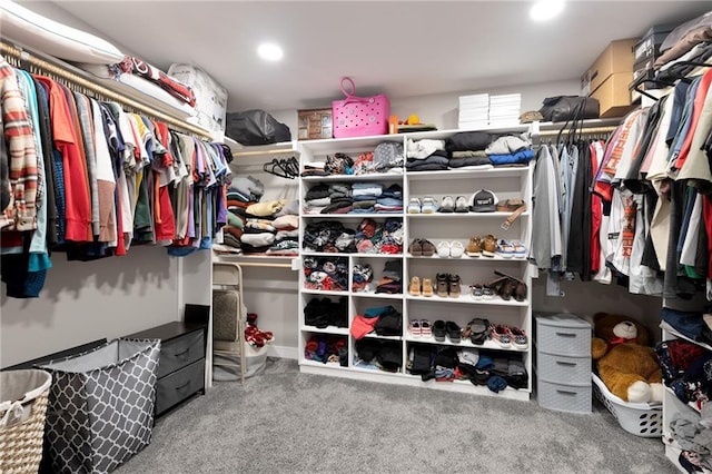 131 Cedar Ct, Warrensburg, MO 64093 - walk in closet featuring carpet