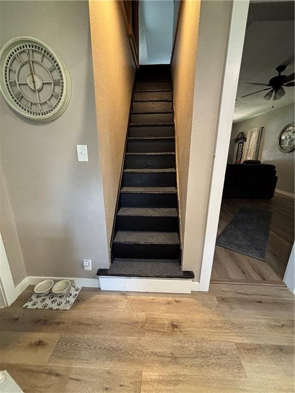 620 S Evergreen Ave, Chanute, KS 66720 - stairs with wood finished floors, baseboards, and ceiling fan