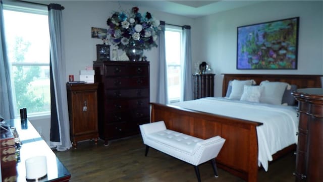 6418 N 141st St, Basehor, KS 66007 - bedroom with dark wood-style flooring