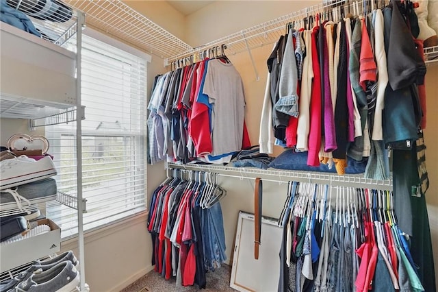 10136 N Wallace Ave, Kansas City, MO 64157 - view of walk in closet