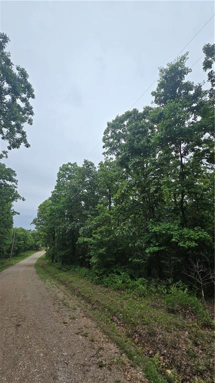 1548 Astrid Ln, Edwards, MO 65326 - photo 2