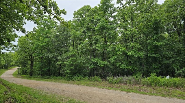 1548 Astrid Ln, Edwards, MO 65326 - photo 4