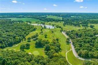 18 Beechwood Ln, Linn Valley, KS 66040 - aerial view