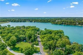 18 Beechwood Ln, Linn Valley, KS 66040 - drone / aerial view of a large body of water and a forest