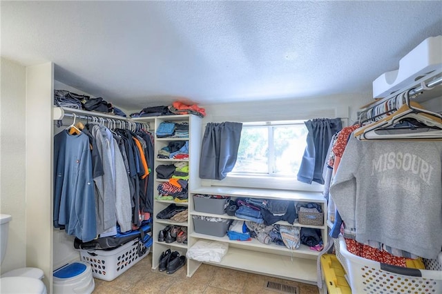1101 S Independence St, Harrisonville, MO 64701 - view of spacious closet