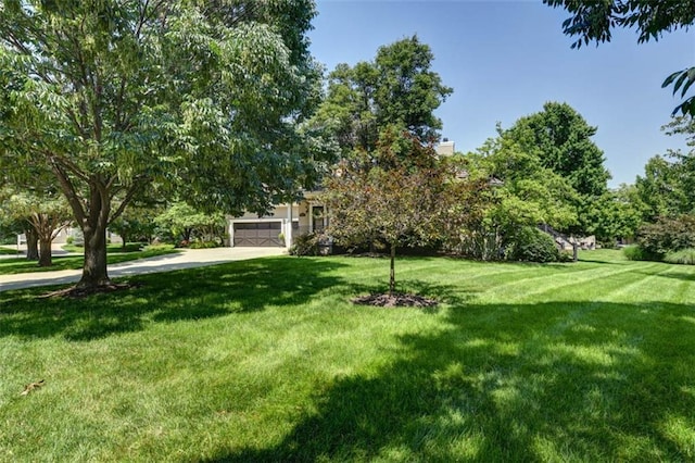 14301 Briar St, Leawood, KS 66224 - view of grassy yard with concrete driveway
