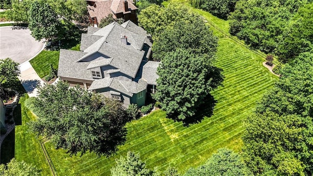 13905 Lucille St, Overland Park, KS 66221 - view from above of property