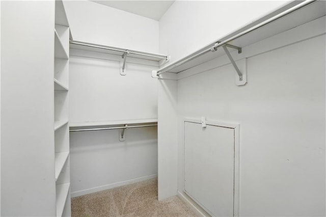 13905 Lucille St, Overland Park, KS 66221 - walk in closet with carpet floors