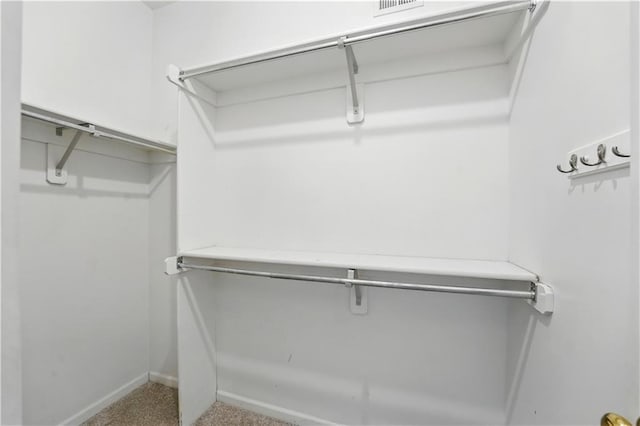 13905 Lucille St, Overland Park, KS 66221 - walk in closet featuring carpet