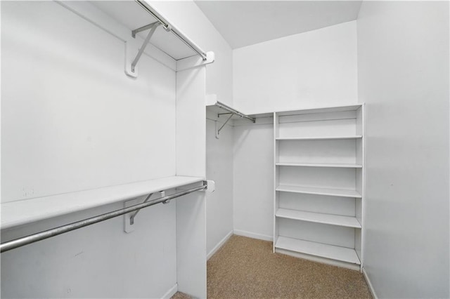 13905 Lucille St, Overland Park, KS 66221 - spacious closet with carpet flooring