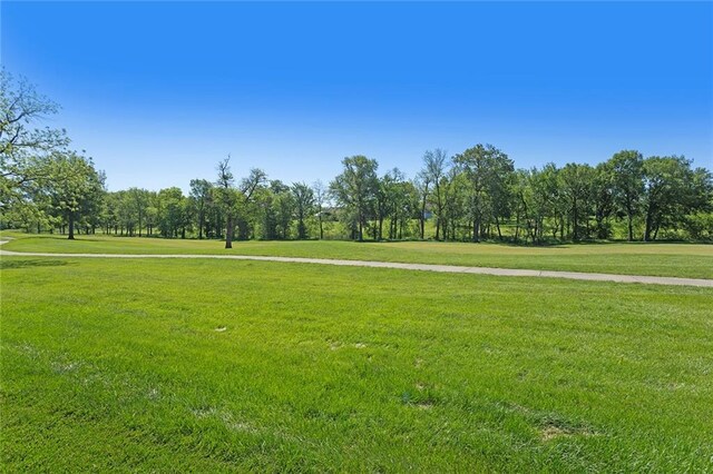 10603 N Dalton Ave, Kansas City, MO 64154 - photo 45