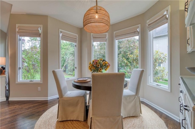 13011 Long St, Overland Park, KS 66213 - dining room featuring dark wood-style floors and plenty of natural light