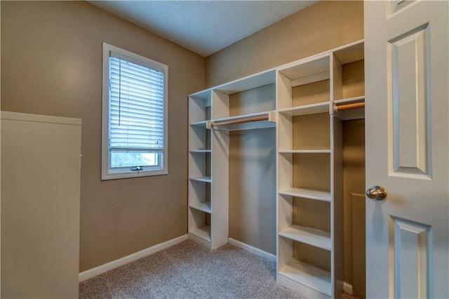 13011 Long St, Overland Park, KS 66213 - spacious closet with carpet floors